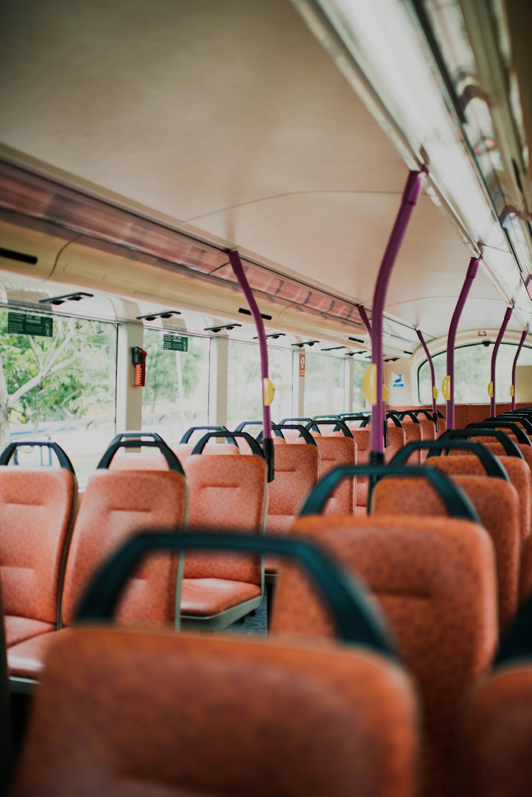Services brown-padded-bus-chairs-o-boski5zfy