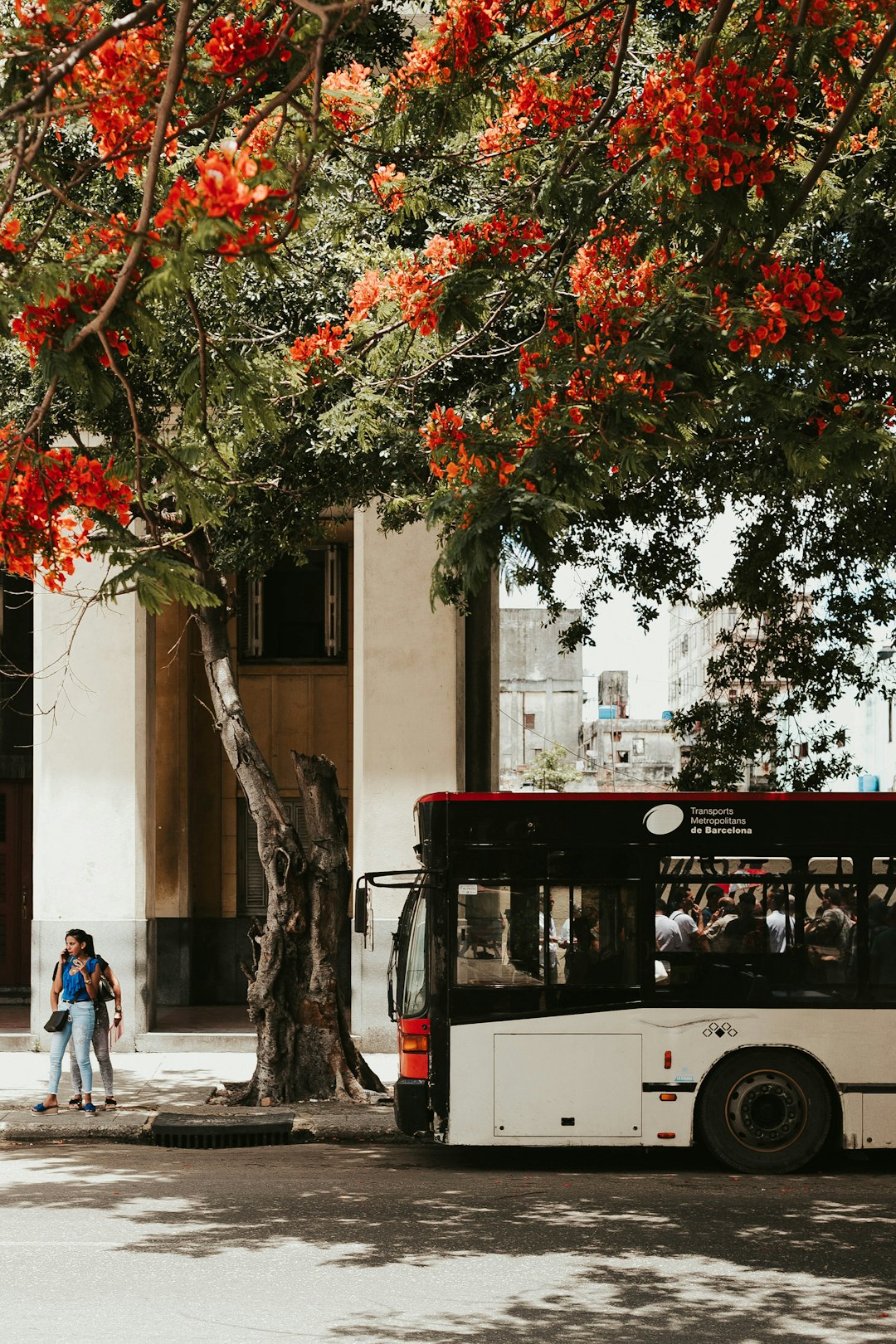 bus-beside-road-1wkl8h-7pfm
