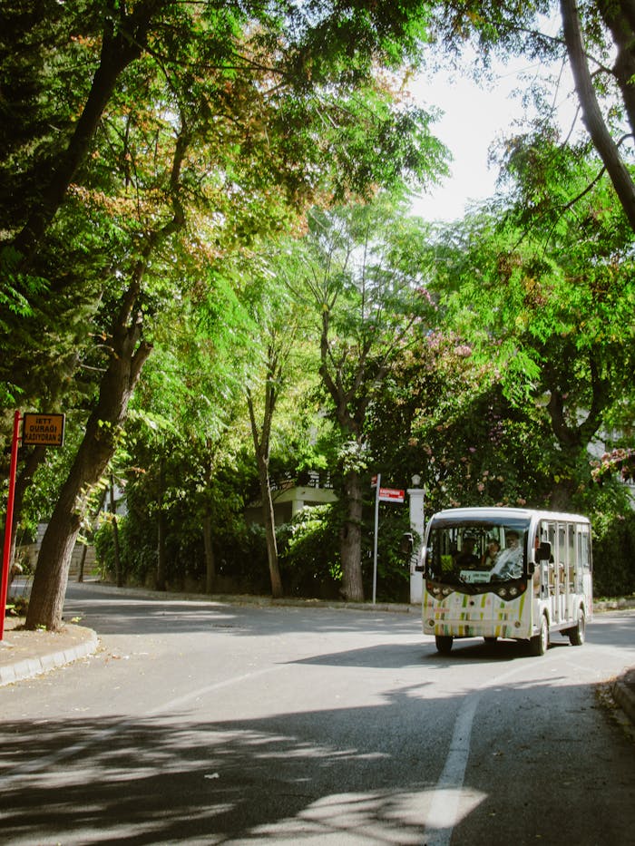 A small urban bus navigates a tree-lined street during the day, showcasing city transportation in a green environment.