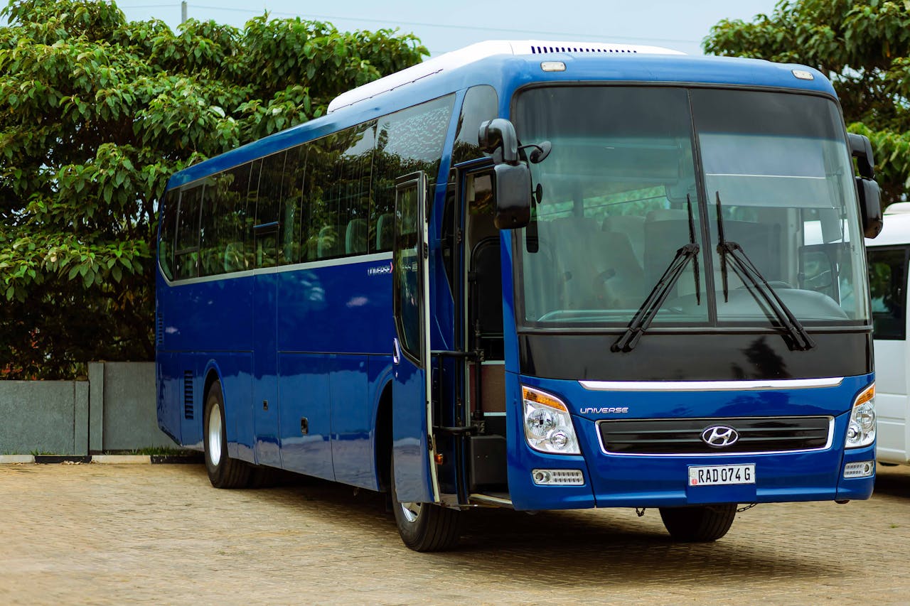 The Art of Drawing Readers In: Your attractive post title goes here A blue Hyundai bus parked outdoors in a summer setting, surrounded by greenery.