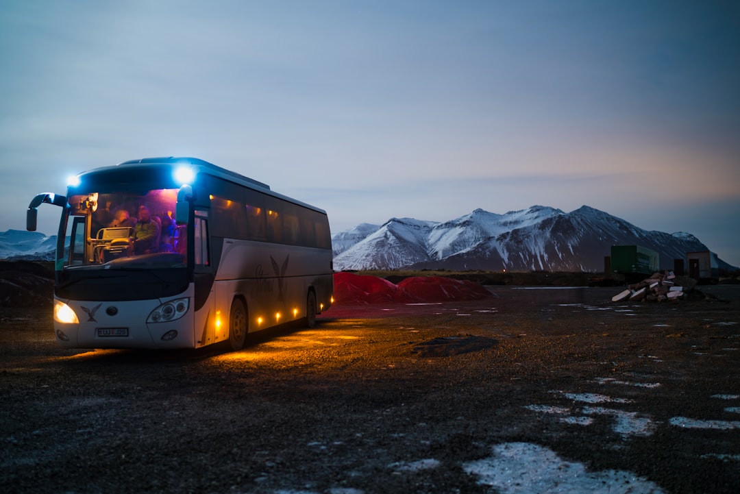 Search for the Northern Lights